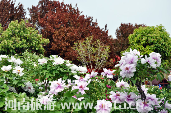 ��� ĵ�� ������ �Ї����� ����