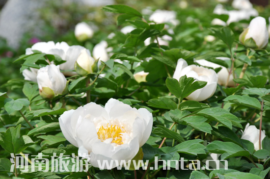 ��� ĵ�� ������ �Ї����� ����