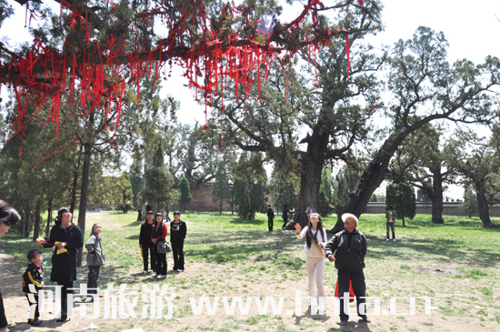 ��ɽ �����R��