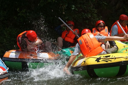 ���T�{ѩ����Ư��