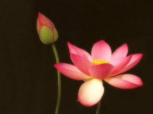 ��ꖺɻ���(ji��)