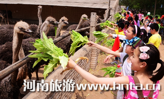 �����r�B(ni��o)�@