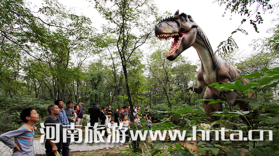 �����r�B(ni��o)�@