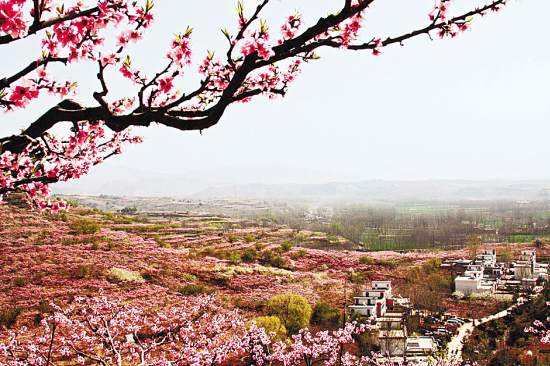 ���(y��ng) ���Ҝ�