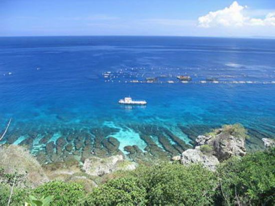 С�����L��