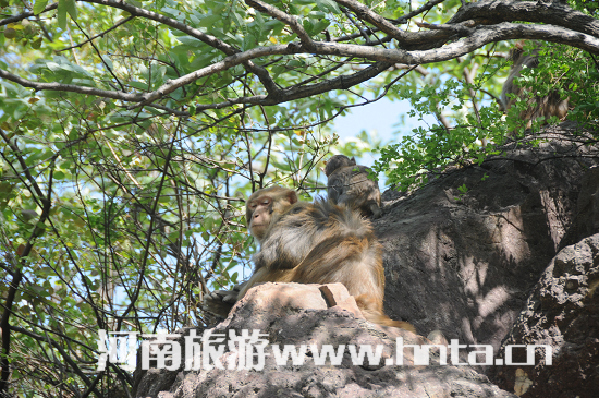 �h(hu��n)�������^(q��)