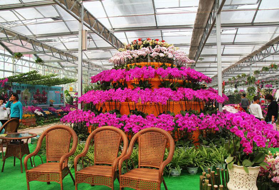 ����ʮ���p���ݜ�Ȫ �����ھC�ϰY�f(shu��)byebye