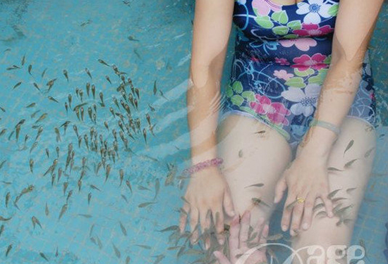 Ϧ�(y��ng)���f�t �＾�B(y��ng)����