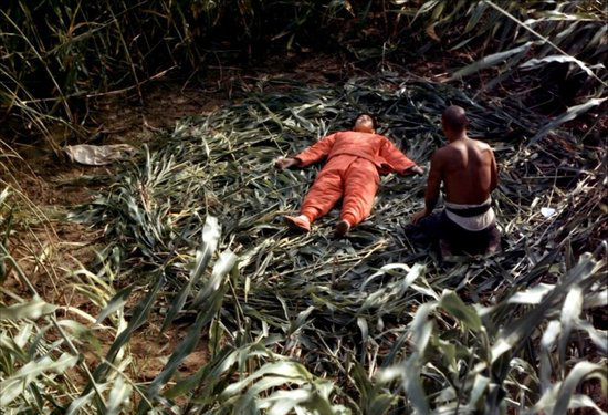 �����Zؐ���ČW��ȥ����  ��Ī�Եļ��l(xi��ng)��һ��