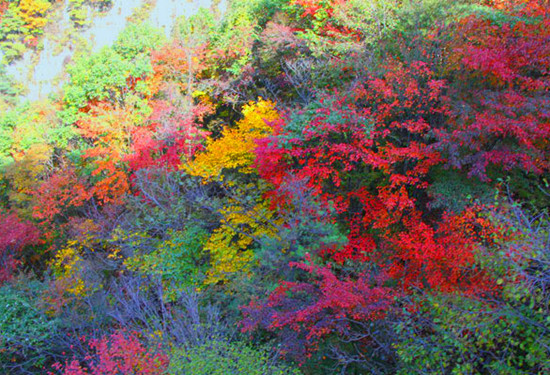 ����Ͻ�X�t�~��(ji��)����20���_Ļ