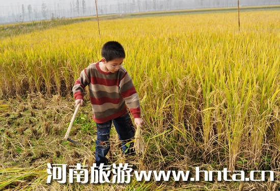 ԭ�ԭ���B(t��i)�r(n��ng)�fˮ���ո��w���