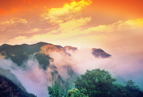 �Ǹ��p�ղ����� ���(y��ng)���Θ����� 