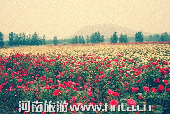 �Ǹ��p�ղ����� ��ꖳ��Θ����� 