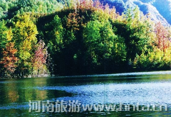 �Ǹ��p�ղ����� ��ꖳ��Θ����� 