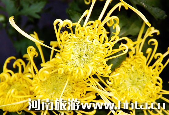 �Ї�(gu��)�_(k��i)��ջ�չ�_(k��i)Ļ չ��һ��