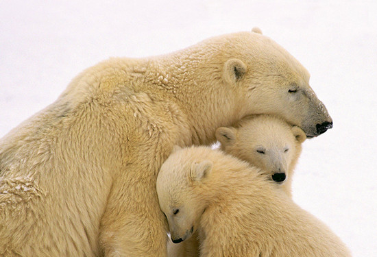 δ������ 2012���ξ��c(di��n)���]