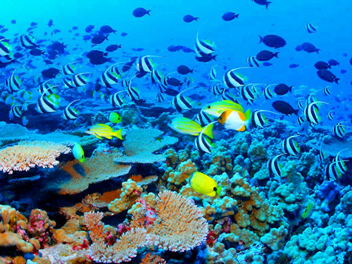 ĩ������ 2012���ξ��c���]