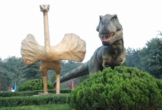 �����r�B�@������M��