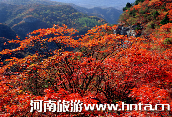 �Ǹ��p�t����(d��ng)�r(sh��)