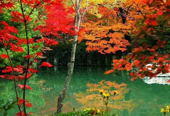 �����p�t�~ ����(n��i)ʮ���c(di��n)