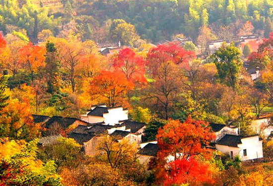 �����p�t�~ ����(n��i)ʮ���c(di��n)