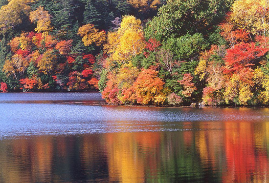 �����p�t�~ ����(n��i)ʮ���c