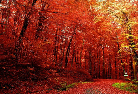 �����p�t�~ ����(n��i)ʮ���c