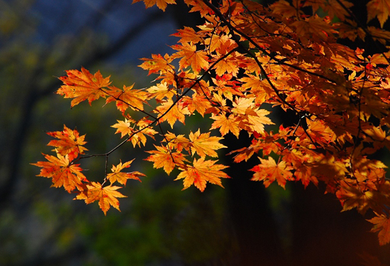 �����p�t�~ ����(n��i)ʮ���c(di��n)