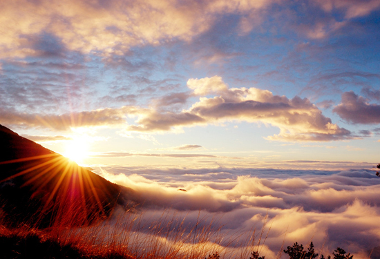 �����p�t�~ ����ʮ���c