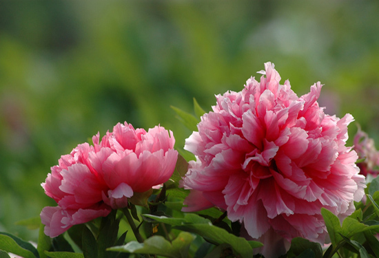 �옷�˸��F���в��؅^(q��)���F���ξ�·��P�c(di��n)