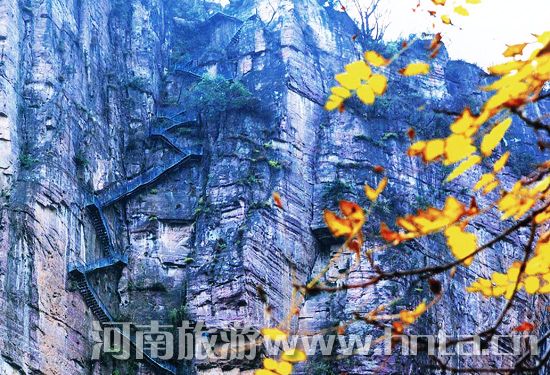 ʡ��(n��i)ʮ�¾��^(q��)���]