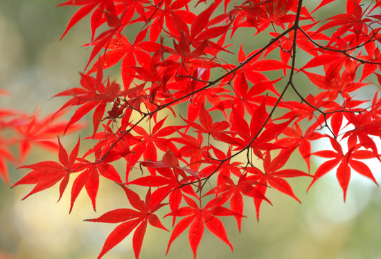 �����p�t�~ ʡ��(n��i)���^(q��)�ػ���