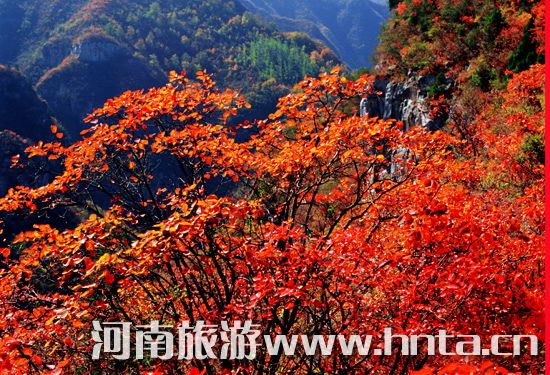 �����p�t�~ ʡ��(n��i)���^(q��)�ػ���