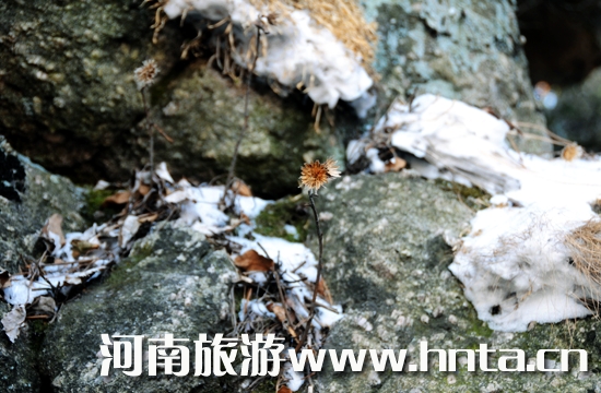 ƽ�ɽ��ɽ���ݷ𡢻�ѩ���ݜ�һ����(l��i)