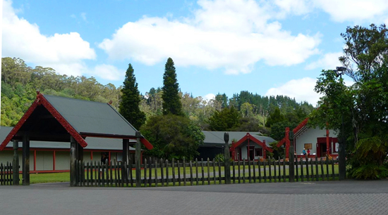 �����m��̽��&ldquo;΢��Ů��&rdquo;Ҧ����Y��