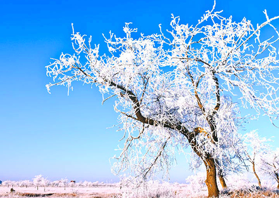 ����ؐ���w�(y��n)����������