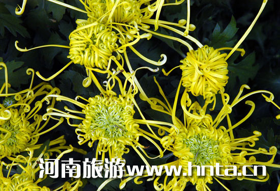 �_��ջ��Ļ���(ji��)���۾ո�����֮��