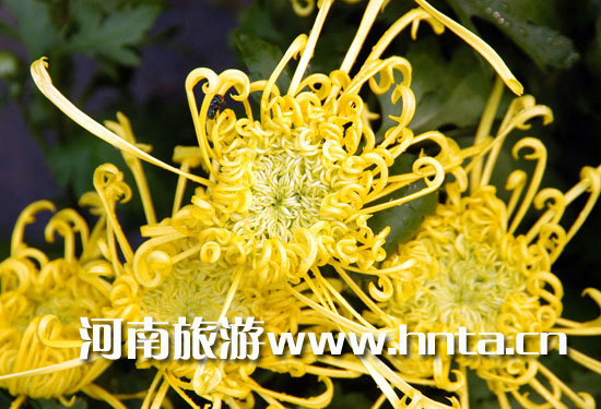 �_��ջ��Ļ���(ji��)���۾ո�����֮��