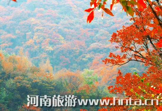 �������Fȥ���� �I(l��ng)����ԭС��֮��