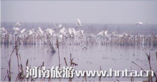 �������Fȥ���� �I(l��ng)����ԭС��֮��