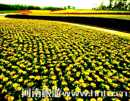 �������Fȥ���� �I(l��ng)����ԭС��֮��