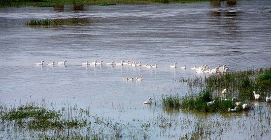 ���������^�B�r ʡ��(n��i)�^�B�رP�c