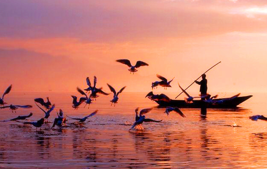 ���������^�B�r ʡ��(n��i)�^�B�رP�c