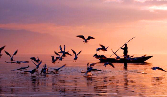 �e؈�����@�������҂��淭�죡 