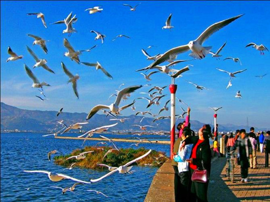 �����L(f��ng)ˮ��ȥ����