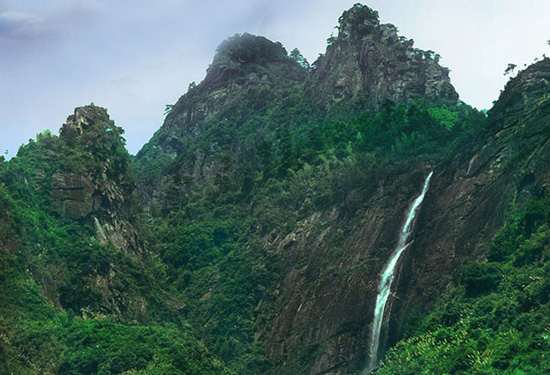 ĩ�չ����(ji��)�������ȥ����