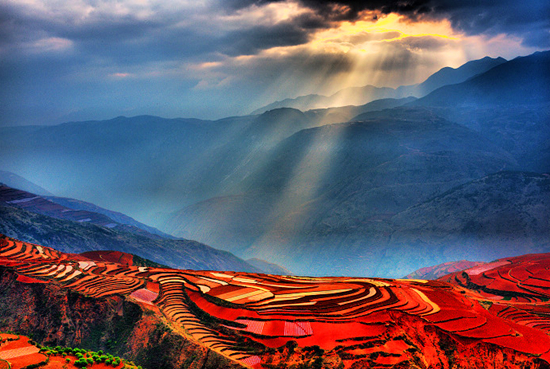 ���������� ���εش�P�c