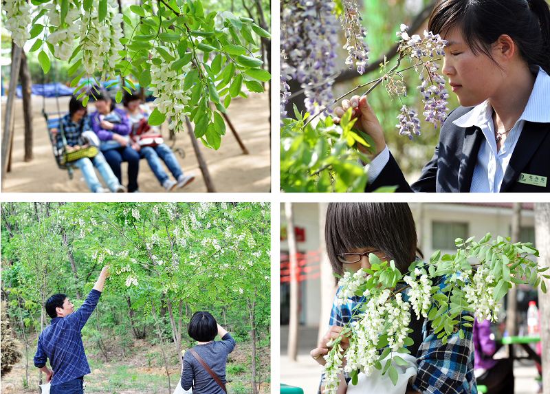 ���Ͻ��������Ļ���(ji��)����4��21�_Ļ