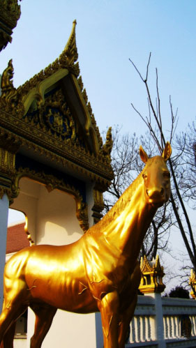 ���R�����½����R