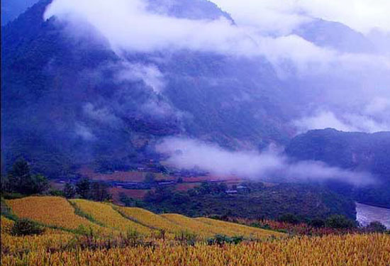 ���ϱ����� 